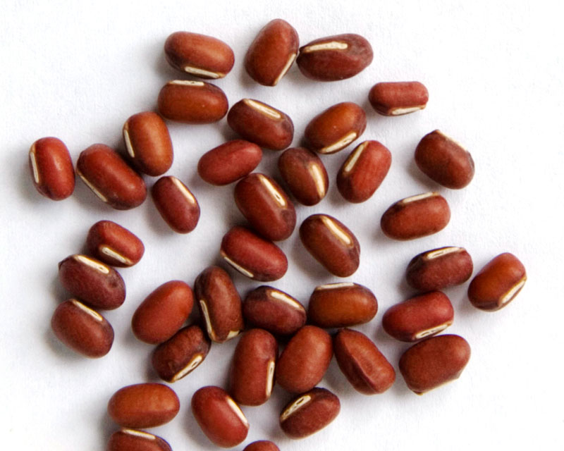 beans Beans