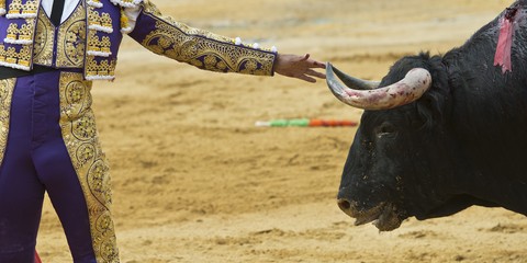 bullfigher