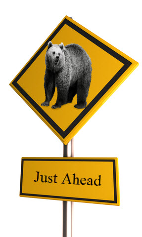 Bear Just Ahead