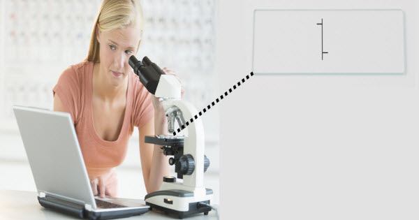 Woman Looking At Price Bar Under A Microscope