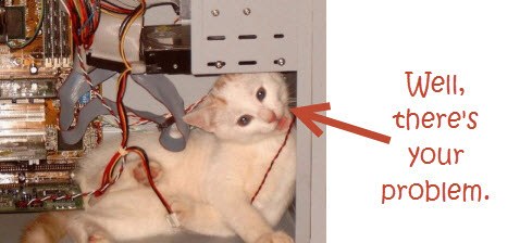 Cat Stuck Inside A PC: There's Your Problem