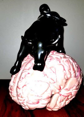 Bull On Top Of Brain