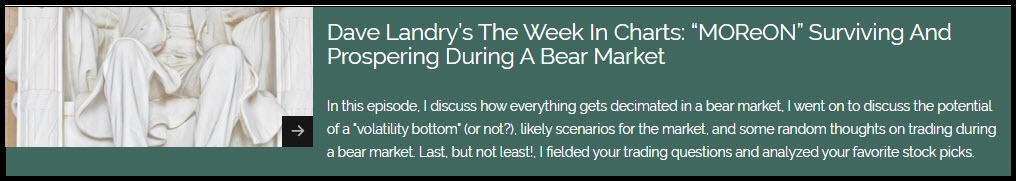 Dave Landry's Bear Market Update